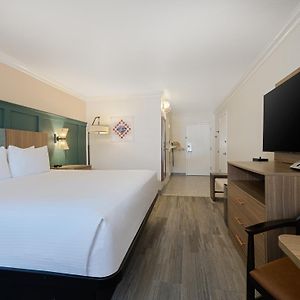 Standaard Kamer met een King Size Bed